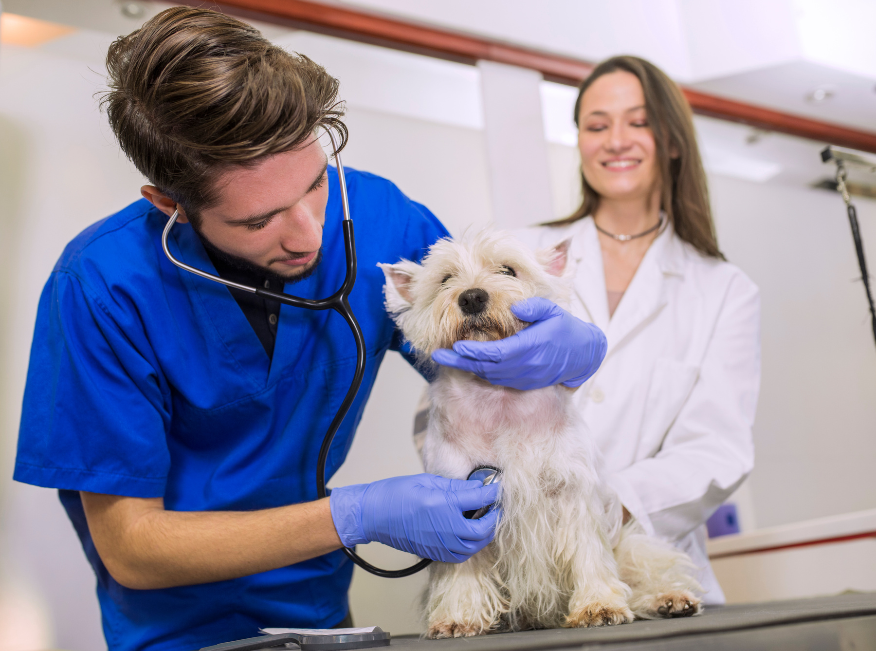 Veterinary clinic