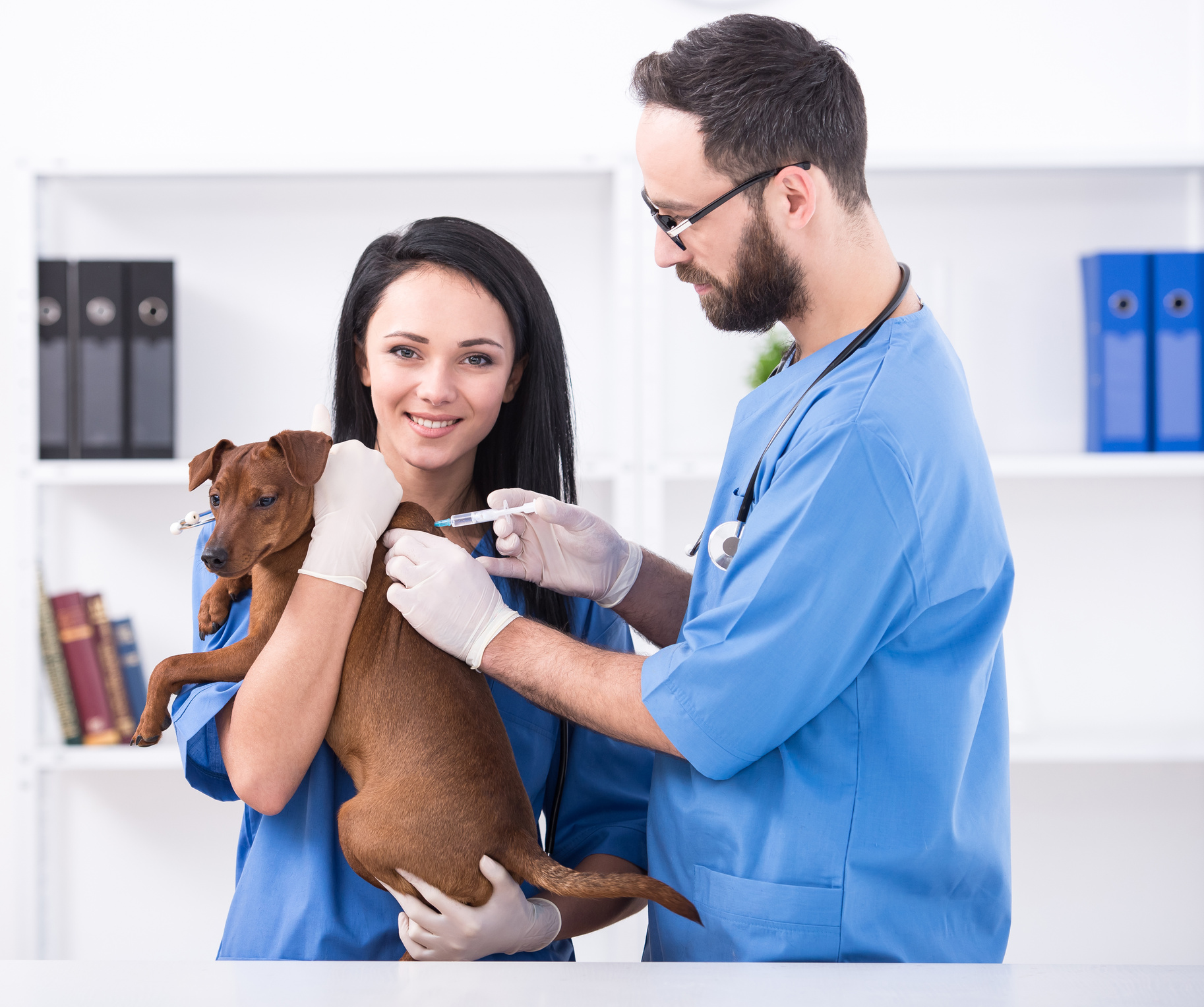 Vet
